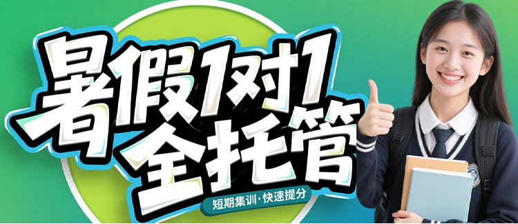 暑假1对1全托管