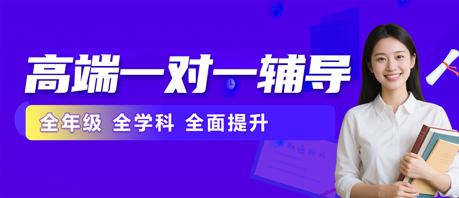 高考一对一辅导