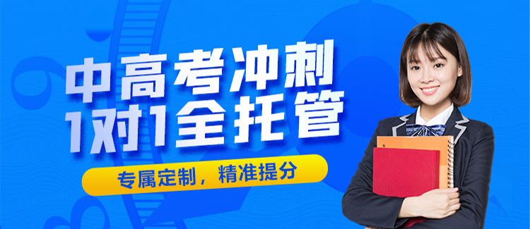 中高考冲刺、1对1全托管