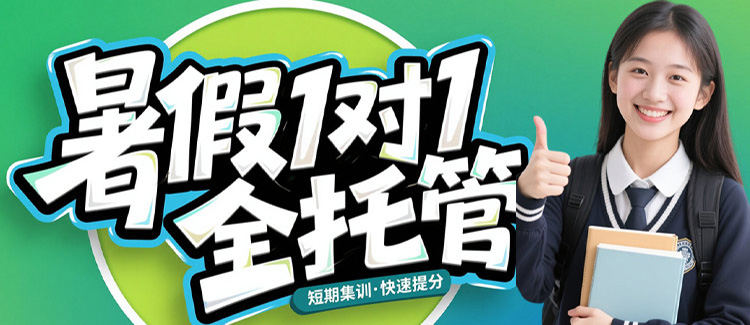 暑假1对1全托管