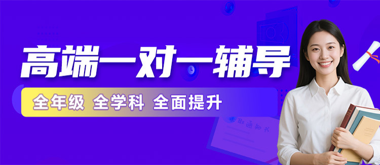 高考一对一辅导